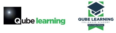 Qube learning