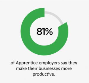 apprentice-more-productive