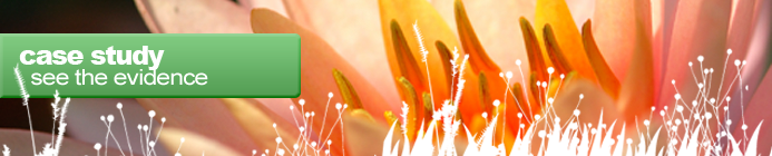 Case Study - Pinky orange flower