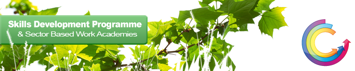 qube learning skills development programme, qube learning sector based work academies, skills development programme logo