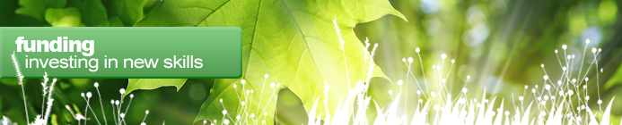 Funding - Rays of sunlight through green leaves
