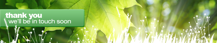 Thank you - Rays of sunlight through green leaves