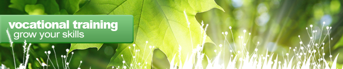 Banner_VocationalTrainingV2 Vocational Training - Rays of sunlight through green leaves