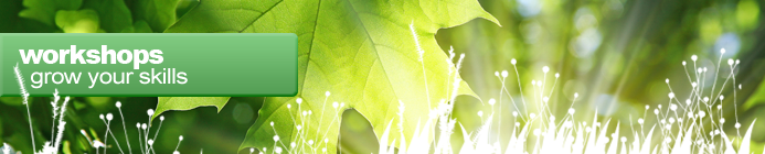 Banner_WorkshopsV2 Workshops - Rays of sunlight through green leaves
